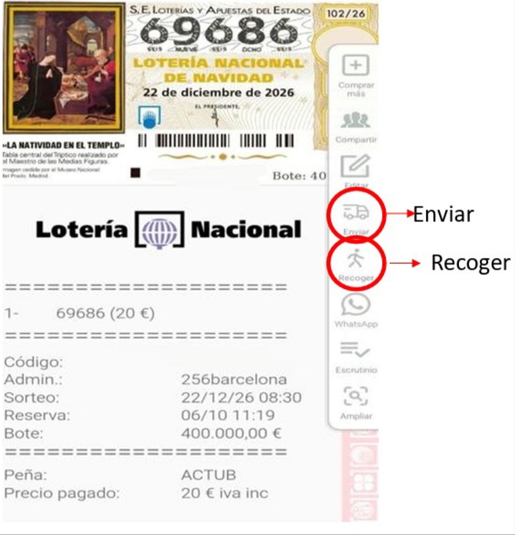 Loteria 2026 5